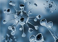 PP电子游戏体内体表药效试验顺利通过药监局审查