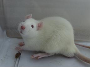 首页| PP电子游戏中国区官方网站