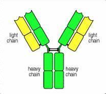 首页| PP电子游戏中国区官方网站
