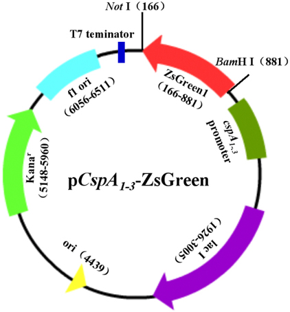 首页| PP电子游戏中国区官方网站