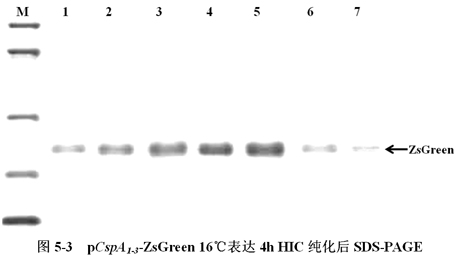首页| PP电子游戏中国区官方网站