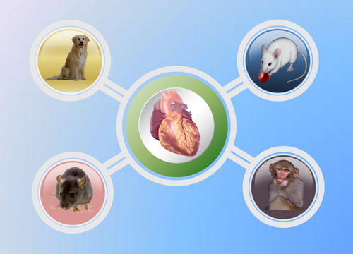 首页| PP电子游戏中国区官方网站