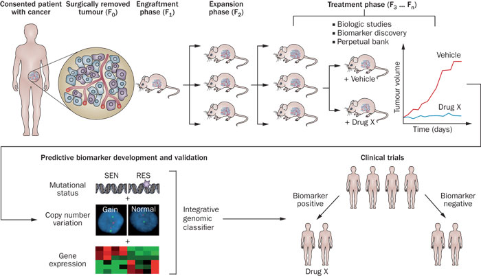 首页| PP电子游戏中国区官方网站