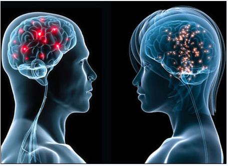 5月2号，医药经济报上颁发了关于陈春麟博士的报路——CRO的中国式崛起蹊径