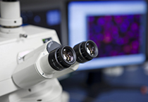 首页| PP电子游戏中国区官方网站