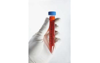 首页| PP电子游戏中国区官方网站