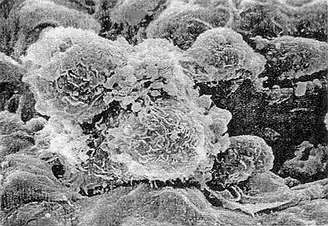 首页| PP电子游戏中国区官方网站