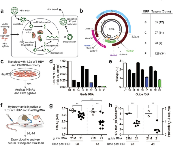 首页| PP电子游戏中国区官方网站