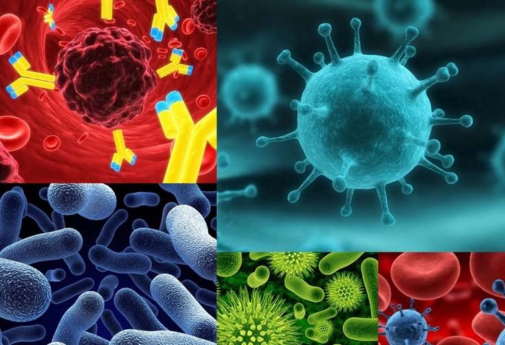 原位杂交技术——PP电子游戏