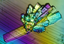 PD-1抑造剂成“抗癌神器”，国内表企业进展若何？