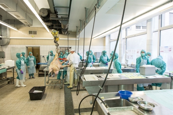 Nature子刊颁发干细胞沉要突破