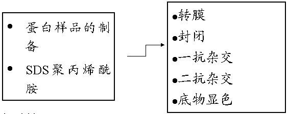 首页| PP电子游戏中国区官方网站