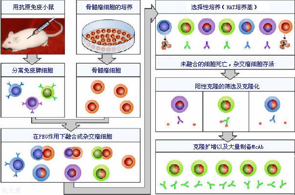 首页| PP电子游戏中国区官方网站