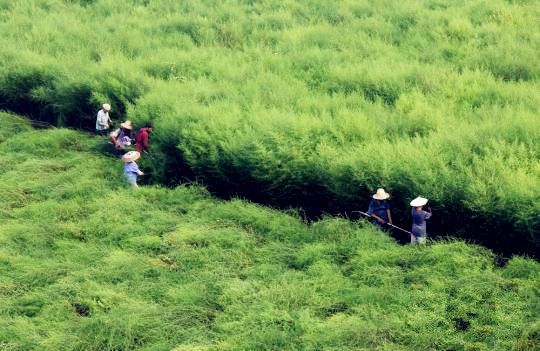 首页| PP电子游戏中国区官方网站
