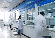 中国药企起头从印度挖人