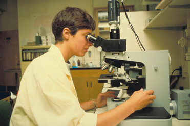 急性毒性试验常用试验步骤