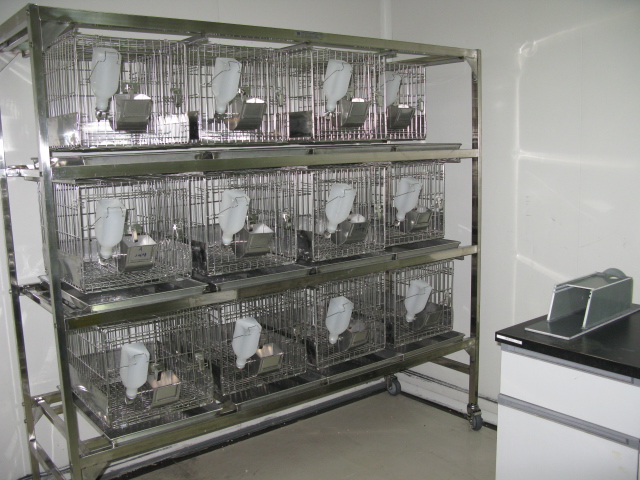 PP电子游戏普亚新动物房通过上海动管会验收