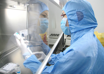 新《药典》执行药材商将迎失业潮？