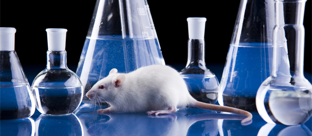 首页| PP电子游戏中国区官方网站