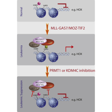 首页| PP电子游戏中国区官方网站