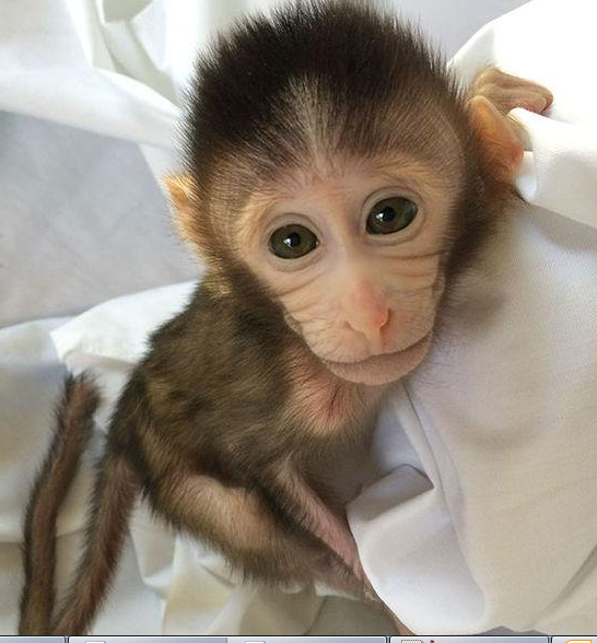 首页| PP电子游戏中国区官方网站