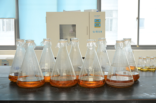 PP电子游戏造剂中心GMP中试车间落成