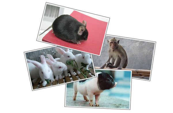 首页| PP电子游戏中国区官方网站