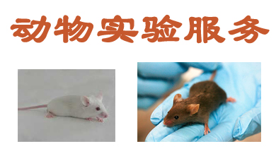 PP电子游戏动物尝试表包服务