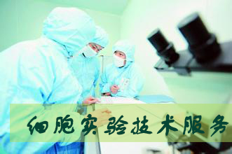 PP电子游戏细胞尝试服务表包