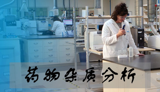 PP电子游戏药物杂质分析服务