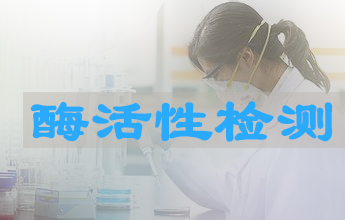 PP电子游戏酶活性测定服务