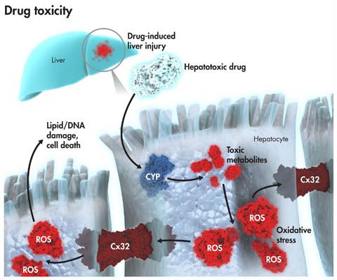首页| PP电子游戏中国区官方网站