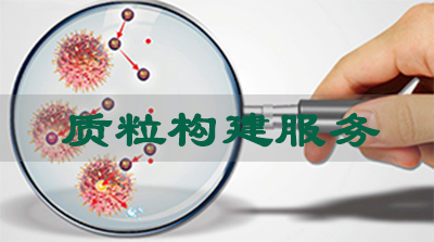 PP电子游戏质粒构建服务