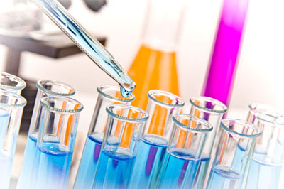 PP电子游戏生物尝试