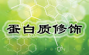 首页| PP电子游戏中国区官方网站