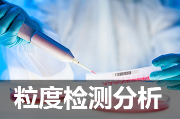 PP电子游戏粒度分析检测服务