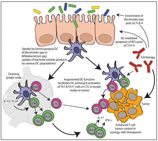 首页| PP电子游戏中国区官方网站