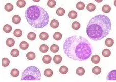 首页| PP电子游戏中国区官方网站