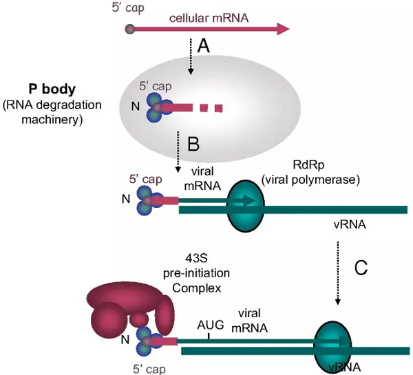 首页| PP电子游戏中国区官方网站