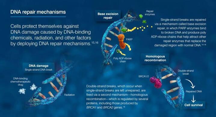 首页| PP电子游戏中国区官方网站