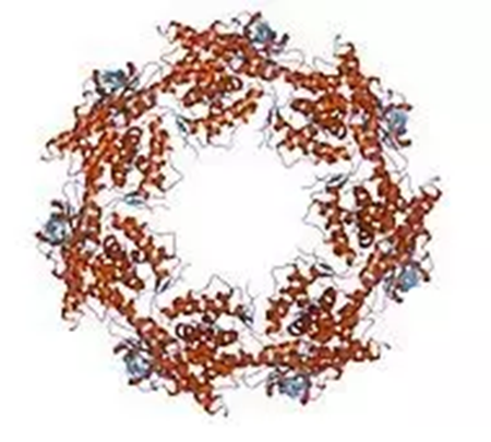 首页| PP电子游戏中国区官方网站