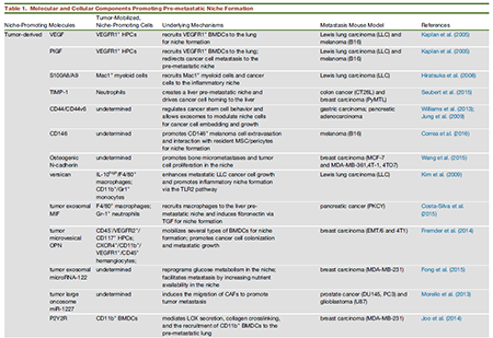 首页| PP电子游戏中国区官方网站
