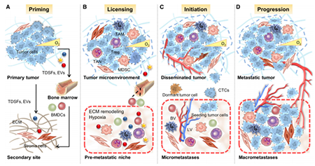 首页| PP电子游戏中国区官方网站