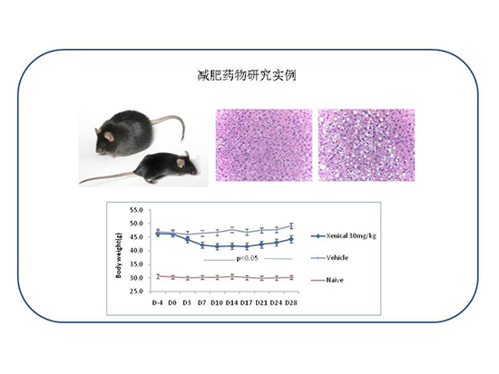 首页| PP电子游戏中国区官方网站