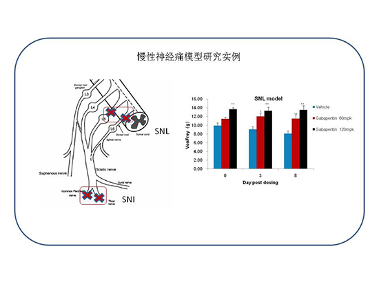 首页| PP电子游戏中国区官方网站
