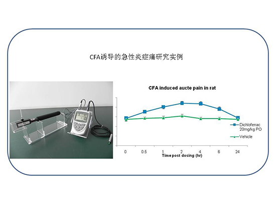 首页| PP电子游戏中国区官方网站