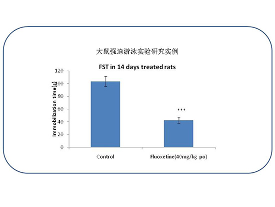 首页| PP电子游戏中国区官方网站