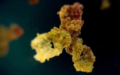 首页| PP电子游戏中国区官方网站