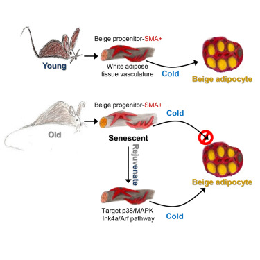 首页| PP电子游戏中国区官方网站