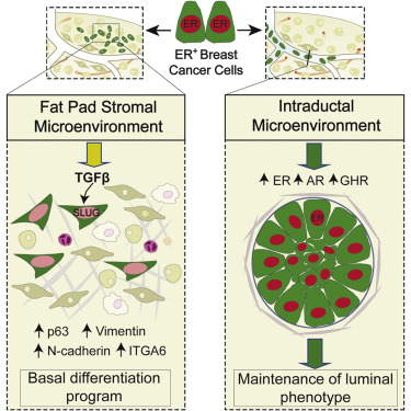 首页| PP电子游戏中国区官方网站